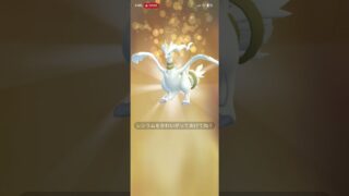 ポケモンgo 14回目のキラフレンド 交換 キラ色違いレシラム FEF  交換