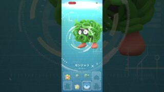 ポケモンgo 15回目のキラフレンド 交換 キラ色違いモンジャラ   交換