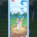 チャンピオンシップカップの引き先ニンフィアが俺の中で熱い🔥#ポケモンgo #goバトルリーグ #gbl #shorts