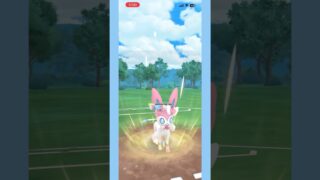 チャンピオンシップカップの引き先ニンフィアが俺の中で熱い🔥#ポケモンgo #goバトルリーグ #gbl #shorts
