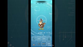 色違い ムックル → ムクバード → ムクホーク ！【 ポケモンgo 】 色違いがさらにかわいさ引き立てる！ #ポケモン #pokemon #ポケモンgo #pokemongo #ムックル