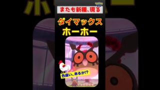 初日色違い出た？【ダイマックス ホーホー】またも新種が登場しました #ポケモンgo #ポケモン #pokemongo #ダイマックス #ホーホー #ザシアン