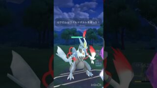 初心者が対戦した結果