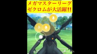 ゼクロムが最強でしたw