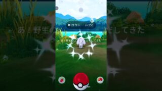 037 #アローラロコン #色違い  #ポケモンgo #pokemongo #gofest2026