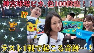 神宮球場ピカチュウ、色100降臨！！ラスト1戦で起こる奇跡…ついに〇〇の封印…？【ポケモンGO】