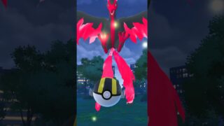 レポート142.【お香でガラル3鳥出現！結果は・・・！？】#shorts #ポケモンGO #ポケットモンスター #pokemon #pokemongo #ポケモンgo #ガラル三鳥