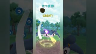 【スーパーリーグ】交代受けを2回決めて勝つ！【ポケモンGO】【バトルリーグ】#shorts #ポケモンgo #goバトルリーグ #gbl #スーパーリーグ #pokemongo