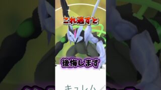 【注意】⚠️最強復刻⚠️知らないと後悔確定。最強効果のブラックキュレム、日食ネクロズマ、レシラムば復刻決定！大いなる軌跡3日目【ポケモンGO】#ポケモンGO #島名なまし　#大いなる軌跡