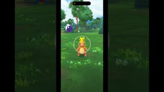 Average Pokémon go day#pokemon#pokemongo #zeraora #pikachu