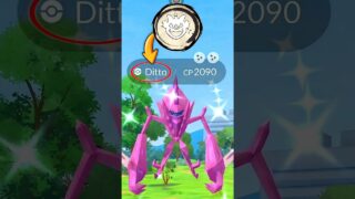 🤫Costume Ditto’s Trick Works as BG Shiny ultra beast reward.