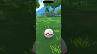 色違いミュウツーGET❗❗#ポケモン #ポケモンgo #shorts