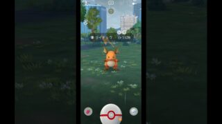 色違いライチュウGET!!! #pokemon #pokemongo #ポケモン #ポケモンgo #shorts