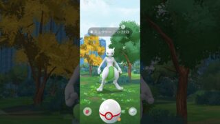 色違いミュウツーGET!!! #pokemon #pokemongo #ポケモン #ポケモンgo #shorts