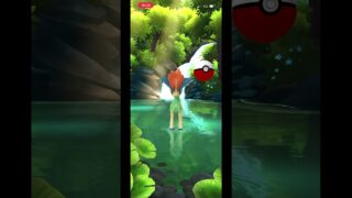 #ポケモンGO ケルディオ　色違い