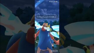 ポケモンGOバトルリーグ　マスターリーグ 2380