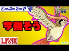 【競技カップ】ピジョットのねっぷうが強い！？【バトルリーグ】【ポケモンGO】