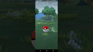 色違いピカチュウ捕獲【ポケモンGO】青ティアラ