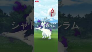 ポケモンGO GOロケット団リーダー・サカキを倒してシャドウレシラムをゲット！ #ポケモン #pokémon #ポケモンgo #pokemongo