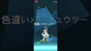 ポケモンGO 色違いミュウツーをメガシンカ！色違いメガミュウツーY #ポケモン #pokémon #ポケモンgo #pokemongo