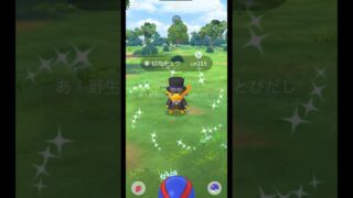 【ポケモンGO】青アクセントピカチュウの色違い🩵 #ポケモンgo #ピカチュウ