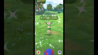 【ポケモンGO】初の色違い嬉しい☺️シキジカ夏のすがた🌻 #ポケモンgo #ポケモン