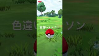 ポケモンGO 色違いメッソン出現！ #ポケモン #ポケモンgo #pokémon #pokemongo