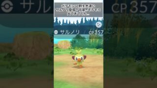 ポケモンGO野生色違いサルノリ登場！背景…そろそろきてくれ… #gameplay #gaming #ポケモンgo #ポケモンgo色違い #ポケモンgo好きと繋がりたい #ポケモンgo