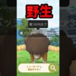 【ポケモンGO】博士送りアメ2倍は神日！新コスピカチュウ登場！ #shorts