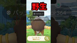 【ポケモンGO】博士送りアメ2倍は神日！新コスピカチュウ登場！ #shorts