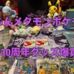 【ポケモン】久しぶりのポケモンセンターに浮かれて、へんしんメタモン、ポケモンGO、30周年グッズ爆買い！購入品紹介！