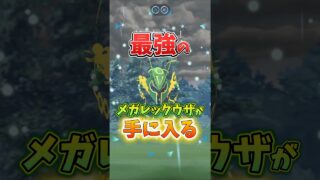【重要】⚠️落とし穴注意⚠️最強のメガレックウザ降臨！いんせきも手に入る！でもマジで気をつけて欲しいポイントに注意…。【ポケモンGO】#ポケモンGO #メガレックウザ　#ガリョウテンセイ