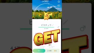 【ポケモンGO】スタンプ押し放題の神スポット見つけた【ポケモンGO鹿児島】 #shorts