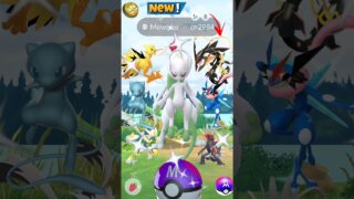 Go Fest All✨️Shiny Legendary Catchrs in Pokemon Go