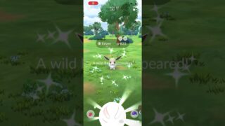 I caught a shiny eevee
