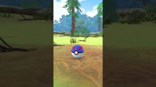Kartana Encounter (Go Battle League)! #pokémon #pokémongo #pokemoncommunity