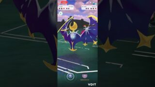 Lunala sweeps master league