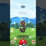 OMG💯Wild Mega Rayquaza Spawn in Pokemon Go