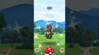OMG💯Wild Mega Rayquaza Spawn in Pokemon Go