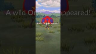 RARE Wild Orbeetle in Pokémon GO! #pokemon #shorts