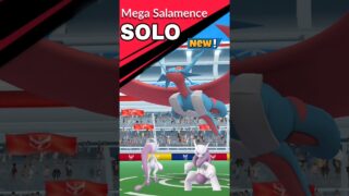 SOLO✨️Mega Salamence Raid With✨️Mega Mewtwo Y in Pokemon Go