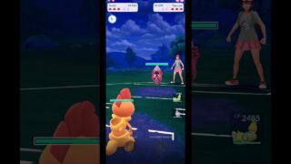 Scrafty, Dudunsparce & Galarian Rapidash | Ultra League PvP Battle | Pokemon GO Gameplay