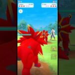 ✨️Shiny Solgaleo VS✨️Shiny Solgaleo PVP Battle in Pokemon Go