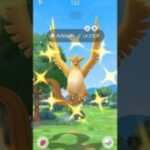 This Shiny Articuno Shocked me in Pokemon Go #pokemon #pokemongo #shorts
