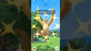 This Shiny Articuno Shocked me in Pokemon Go #pokemon #pokemongo #shorts