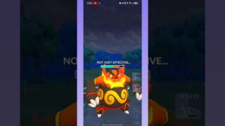 Using Emboar 🔥 in Great League 🌈 #pokemongo #pokemon #gbl