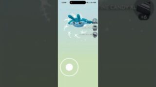 ✨WOW! Shiny Mantyke HATCHED in Pokemon Go!✨ #shorts #pokemon