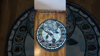 Wait for it #pokemon #pokemongo #rugs #pokemonunite