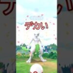 ⚠️XXL色違いミュウツー降臨‼️‼️背景ガチャ頼む…🤔#ポケモンgo #pokemongo #pokemongoshorts