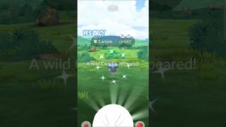 Yes bro! Shiny Carbink in Pokémon Go! #yesbro #pokemon #shinypokemon #pokemongo #winner #ytshorts